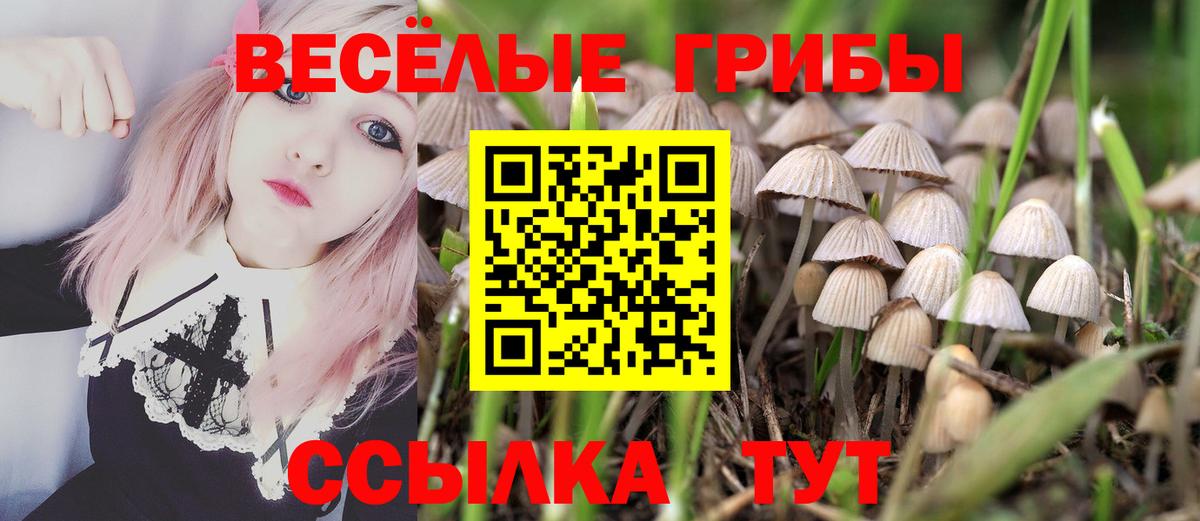 Орехово-Зуево  Галлюциногенные грибы Psilocybine cubensis  что такое   Вход с VPN 
